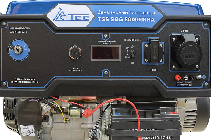 Электростанция бензиновая TSS SGG 8000EHNA